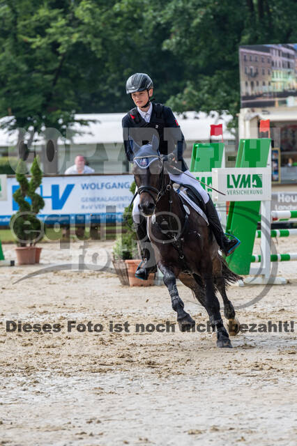 Goldene Schärpe 2021 - Ponys