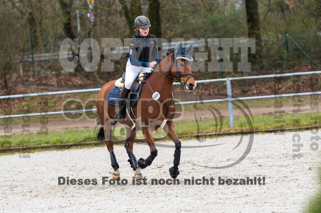 Eventing im Pferdesportzentrum Rheinland (Late Entry 14.03.2022)