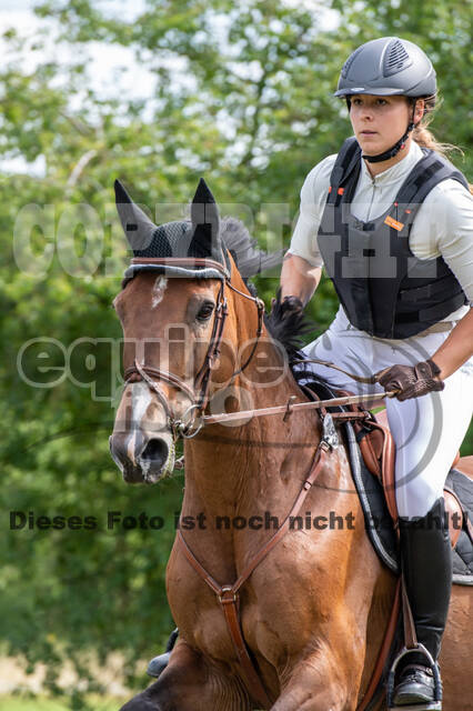 Bonn-Rodderberg Late-Entry-Vielseitigkeit (30.06.2020)