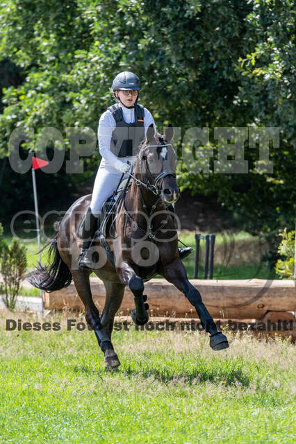 Late-Entry-Vielseitigkeit Langenfeld (06.+07.07.2020)