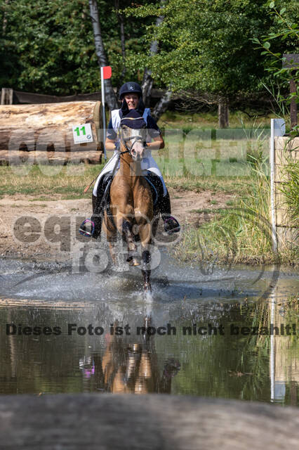 Late-Entry Vielseitigkeit Hamminkeln/Wesel (01.+02.08.2020)