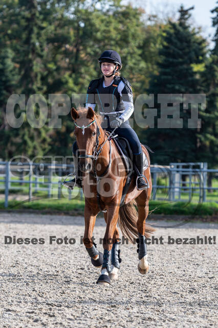 IGV Lehrgang der Sieger der Cups mit Frank Ostholt