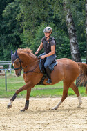 Hunter Geländetraining 10.07.2021 (Sonsbeck)