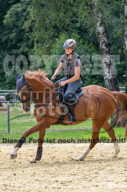Hunter Geländetraining 10.07.2021 (Sonsbeck)