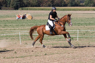 IGV Kleve