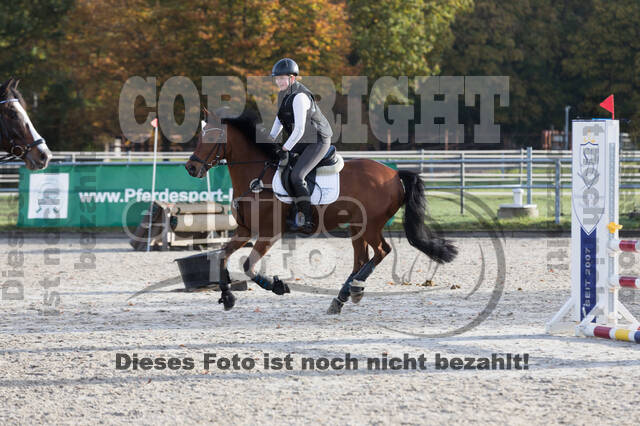 IGV Lehrgang der Sieger der Cups mit Frank Ostholt