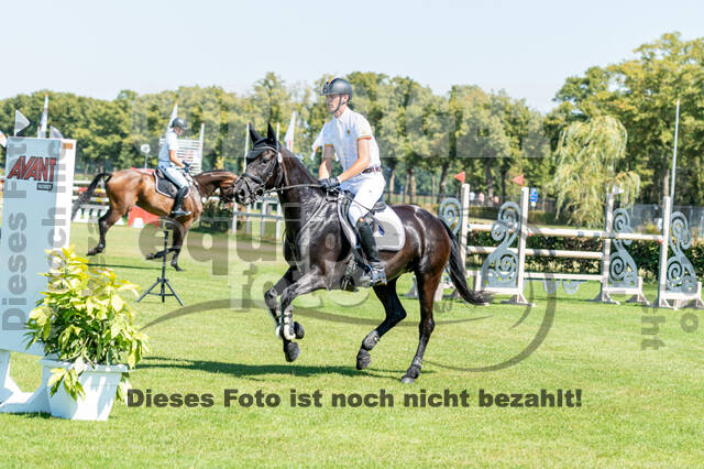 Kronenberg - De Peelbergen (August 2020)