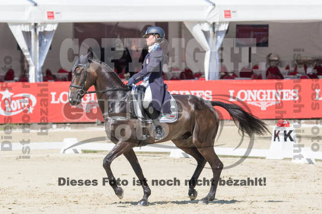 FEI European Championship