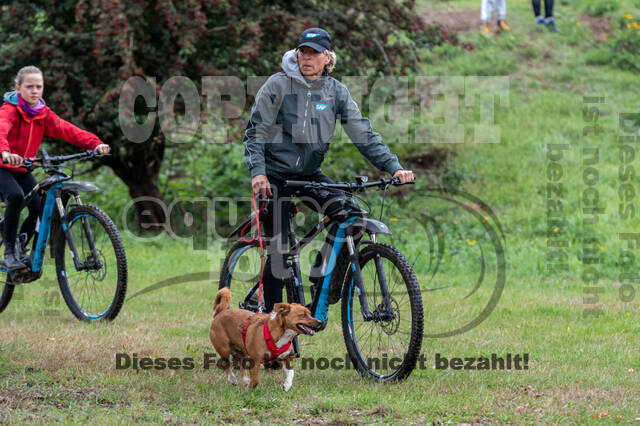 Vielseitigkeit RSV Wesel Obrighoven (26.+27.09.2020)