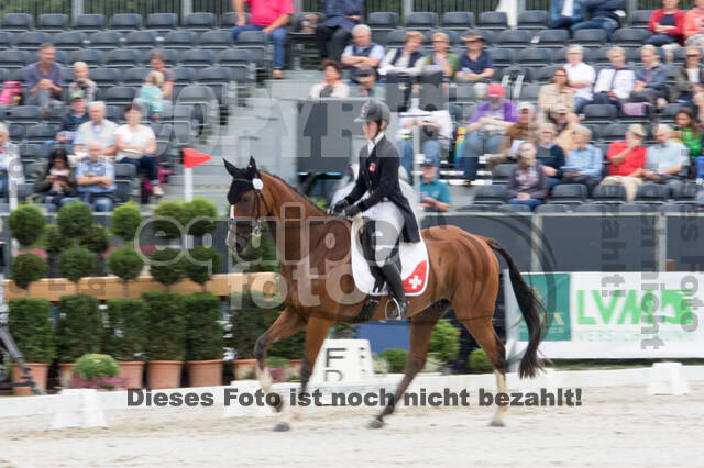 FEI European Championship Eventing 2019