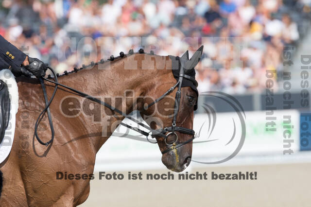 FEI European Championship Eventing 2019