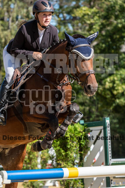 RFV Dinslaken-Hiesfeld (Herbstturnier)