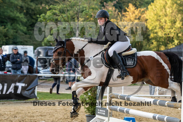 RFV Dinslaken-Hiesfeld (Herbstturnier)