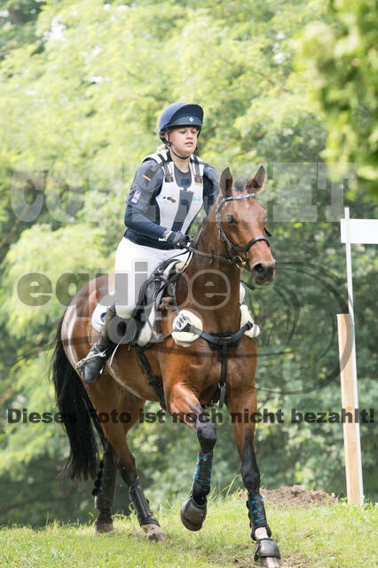 Vielseitigkeitsturnier RFV Bad Honnef