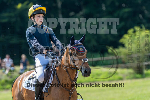 Goldene Schärpe 2021 - Ponys