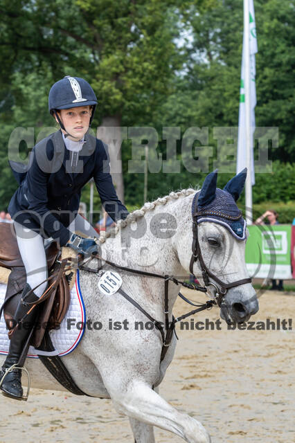 Goldene Schärpe 2021 - Ponys