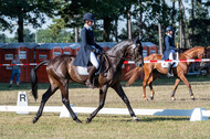 Kronenberg - De Peelbergen (August 2020)