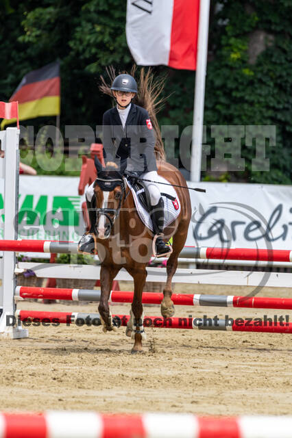 Goldene Schärpe 2021 - Ponys