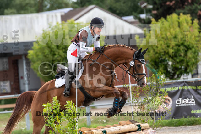 Late-Entry-Vielseitigkeit Langenfeld (06.+07.07.2020)