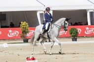 FEI European Championship Eventing 2017