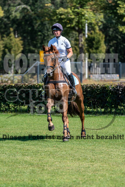 Kronenberg - De Peelbergen (August 2020)