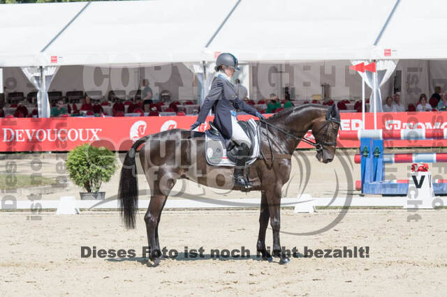 FEI European Championship