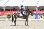 FEI European Championship