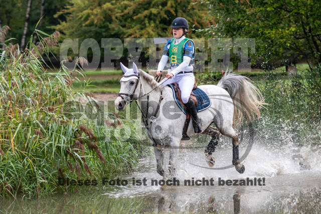 Vielseitigkeit RSV Wesel Obrighoven (26.+27.09.2020)