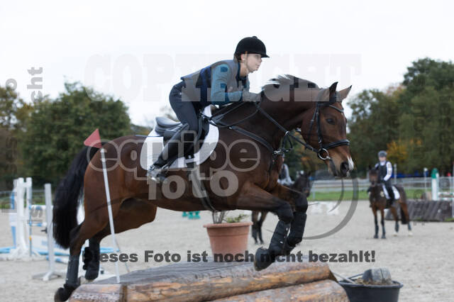 IGV Lehrgang der Sieger der Cups mit Frank Ostholt