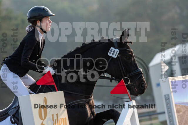 Goldene Schärpe 2020 - Pferde