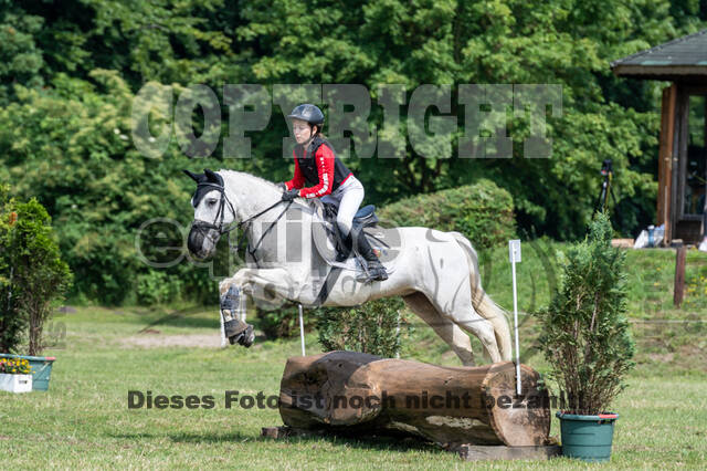 Goldene Schärpe 2021 - Ponys