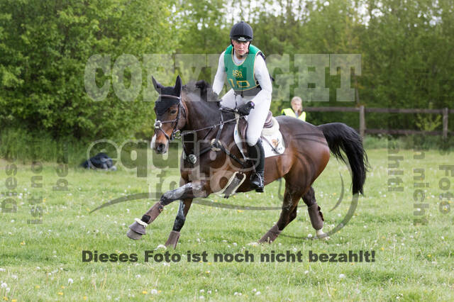 Sterne über Münster 2019 - CCI***S