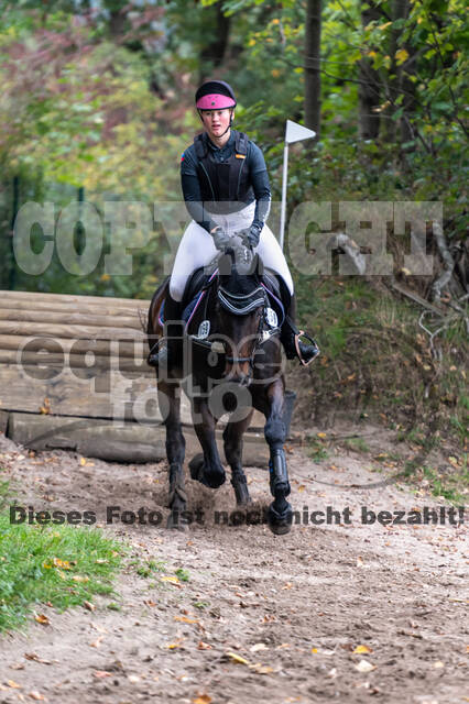 Goldene Schärpe 2020 - Pferde