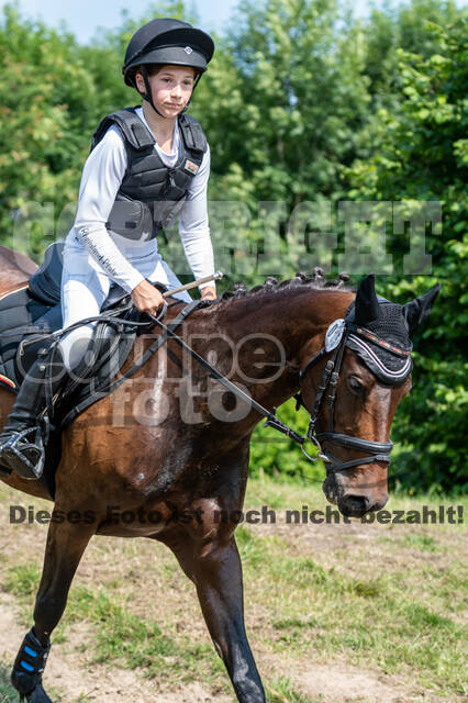 Goldene Schärpe 2021 - Ponys
