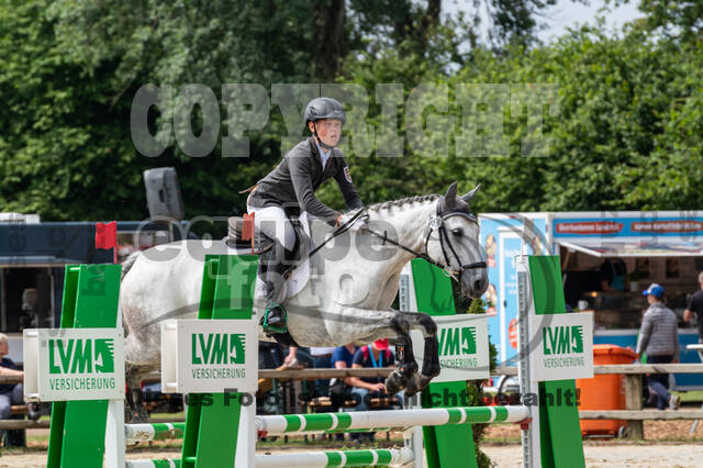 Goldene Schärpe 2021 - Ponys