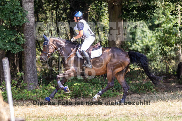 Late-Entry Vielseitigkeit Hamminkeln/Wesel (01.+02.08.2020)