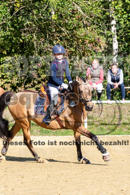 RFV Dinslaken-Hiesfeld (Herbstturnier)