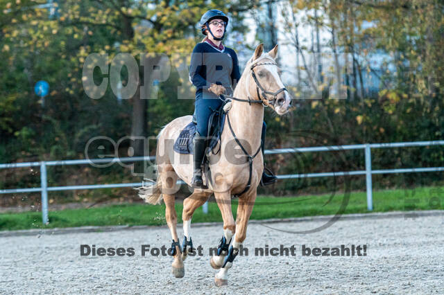 IGV Lehrgang der Sieger der Cups mit Frank Ostholt