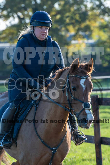 Vielseitigkeitslehrgang mit Jürg Kurbel (9.+10.11.2019)
