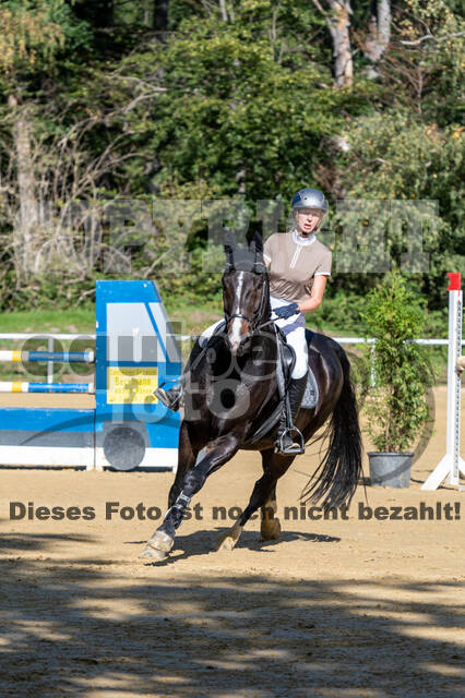 RFV Dinslaken-Hiesfeld (Herbstturnier)
