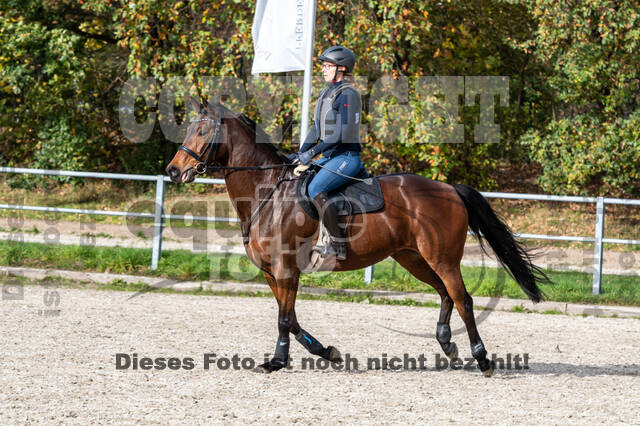 IGV Lehrgang der Sieger der Cups mit Frank Ostholt