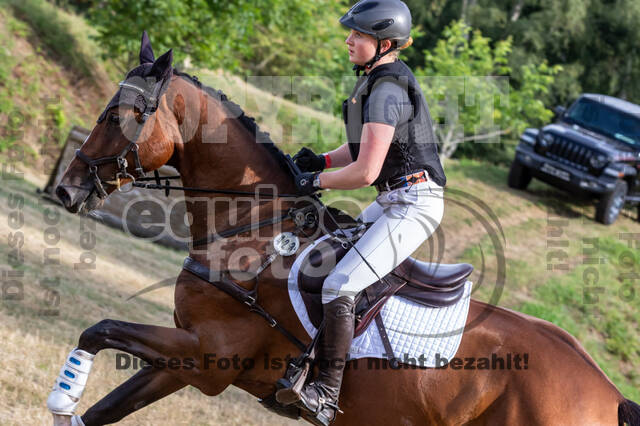 Late-Entry Vielseitigkeit Hamminkeln/Wesel (01.+02.08.2020)