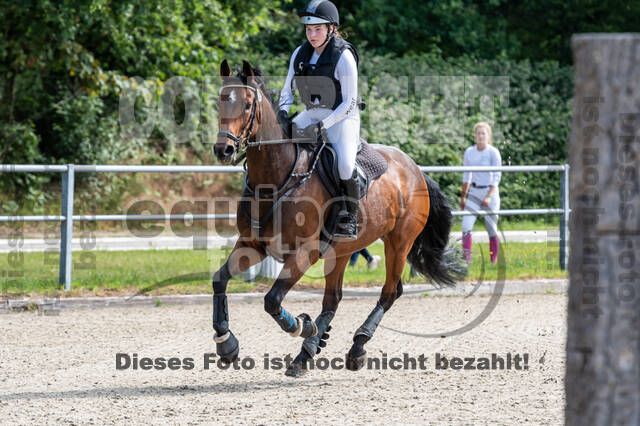 Late-Entry-Vielseitigkeit Langenfeld (11.+13./14.06.2020)