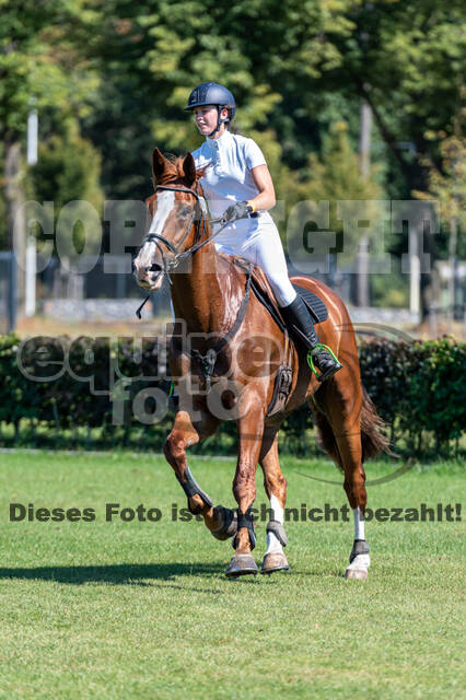 Kronenberg - De Peelbergen (August 2020)