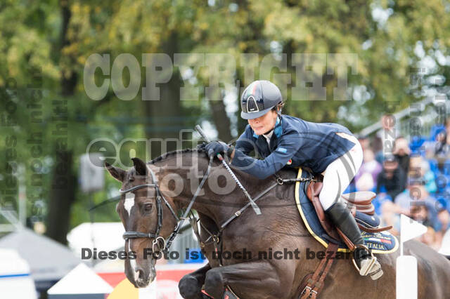 FEI European Championship