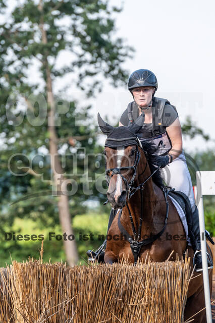 De Peelbergen (August 2020)