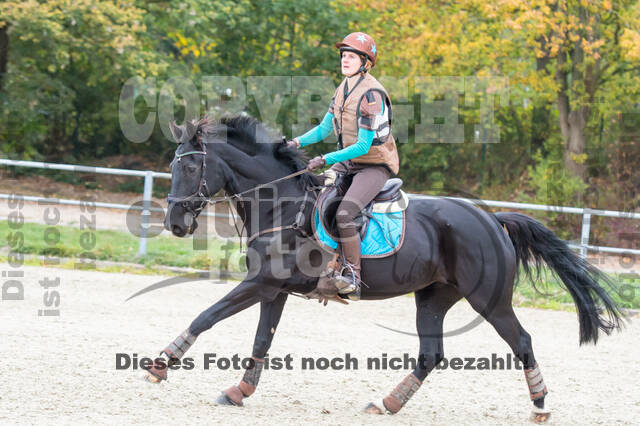 Training Tholi Tour