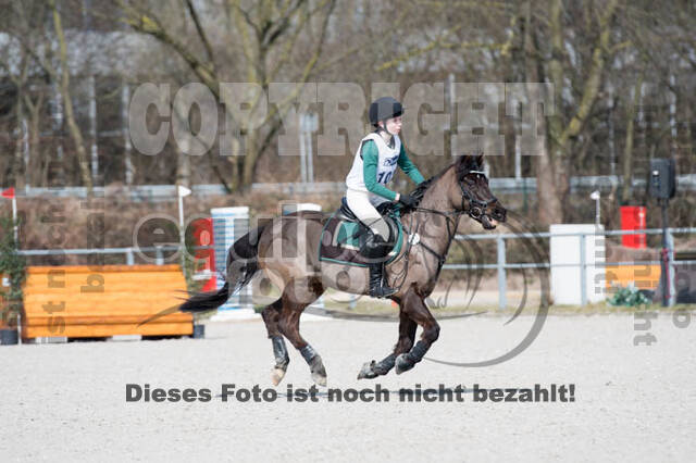 Eventing Langenfeld 2018