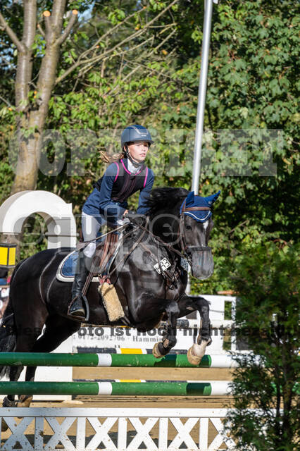 RFV Dinslaken-Hiesfeld (Herbstturnier)