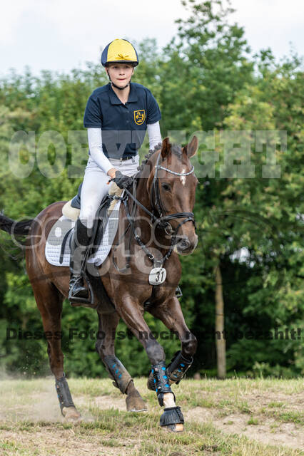 Goldene Schärpe 2021 - Ponys